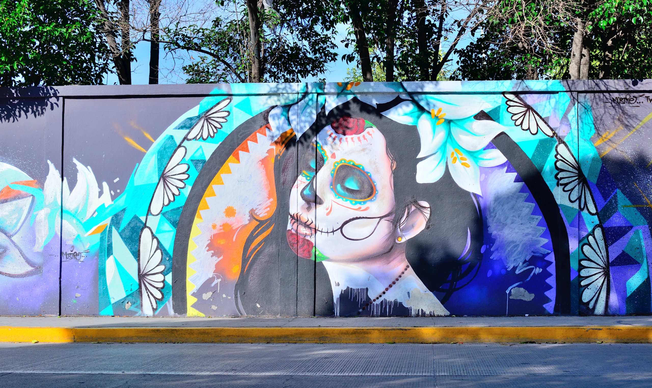Aguascalientes,,Mexico,-,October,19,,2013:,Graffiti,Of,"la,Calavera