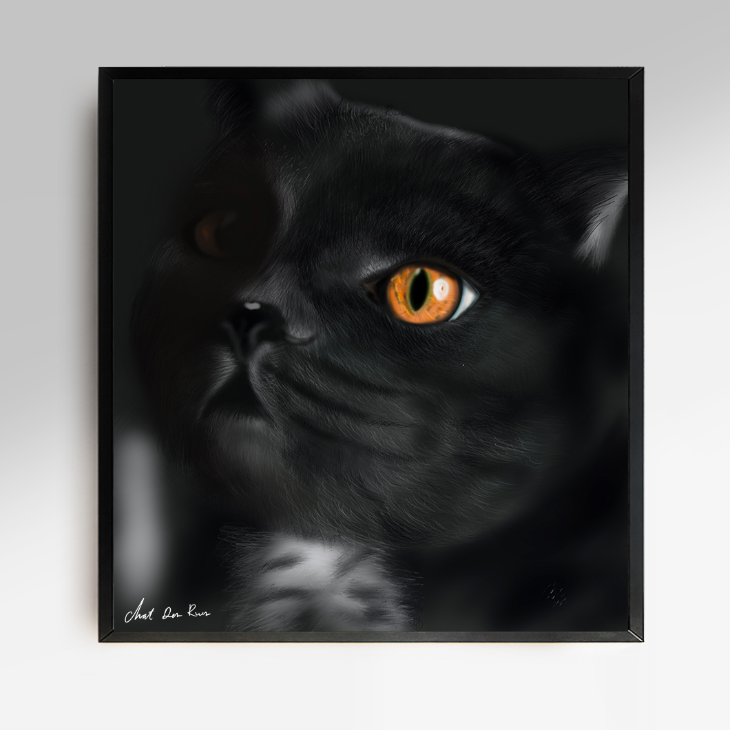 black cat framed